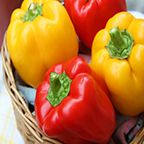 Capsicum