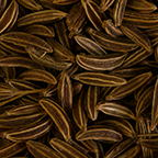 Caraway