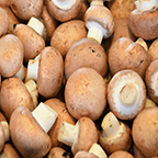 Mashroom